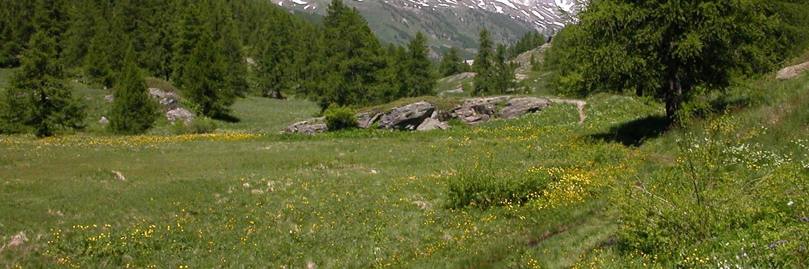 Location Névache en Haute Vallée de